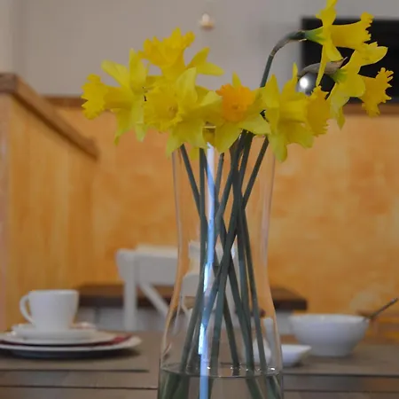 Apartamento Mama Rovinjsko Selo