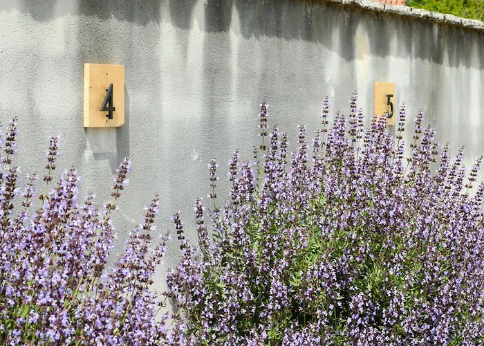 Mama * Rovinjsko Selo